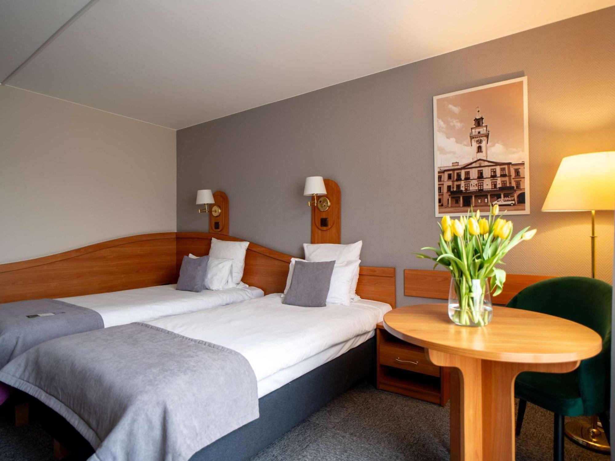 Mercure Cieszyn Цешин Экстерьер фото